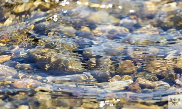 Sources d’eau naturelles : conseils et précautions