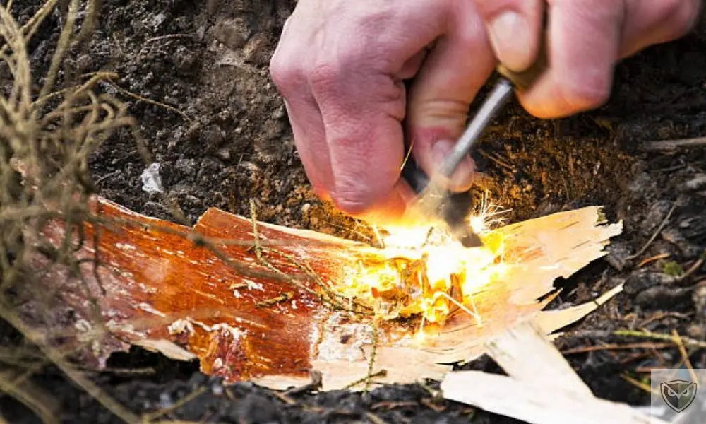 Light a Fire in the Wild: The Flint Method