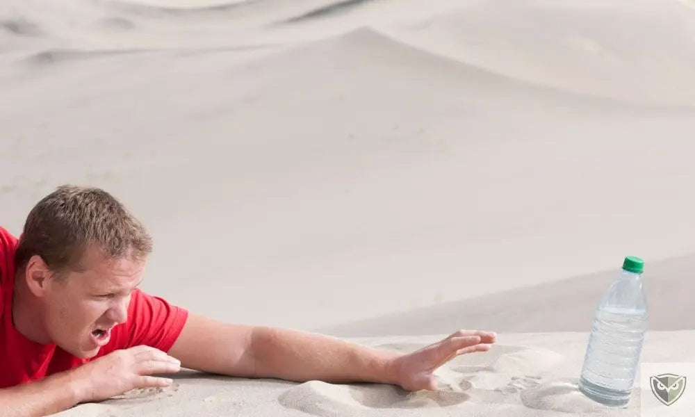 Need for water in the desert: 4 vital rules for surviving without a source