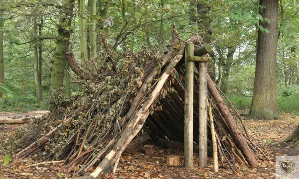 Construire un Abri de Survie : Les Principes Essentiels à Connaître