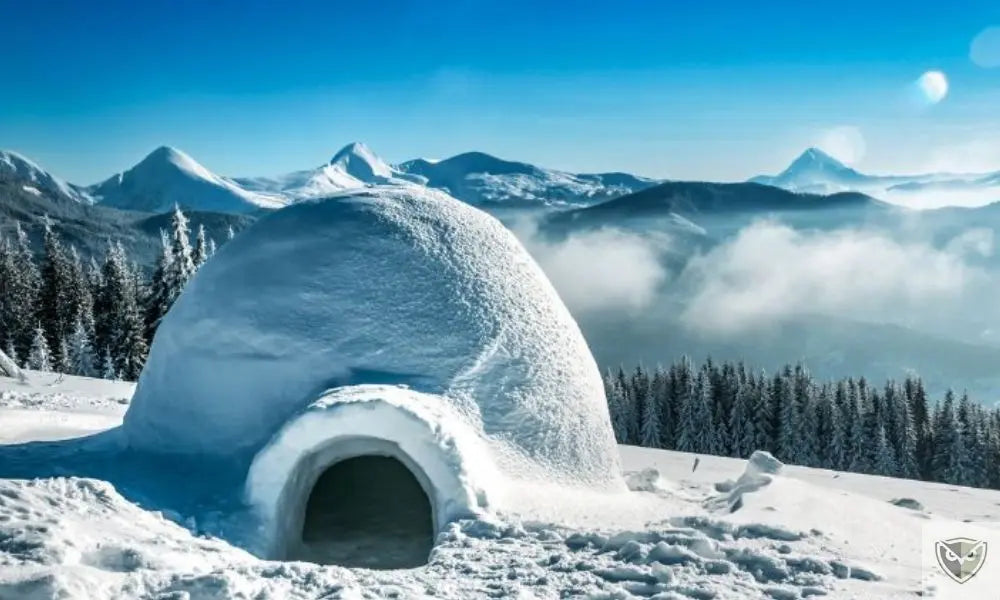 Building an effective shelter to survive in cold weather: 5 suitable models