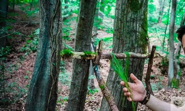 Cordages et Ligatures : 3 Techniques Indispensables à Connaître en Survie