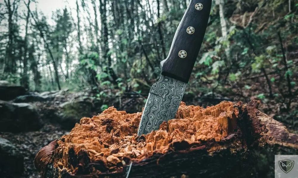 Couteau de Survie vs Bushcraft : Comparatif et Conseils