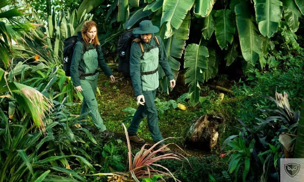 Explorer la jungle tropicale : 4 types de forêts à connaître pour survivre