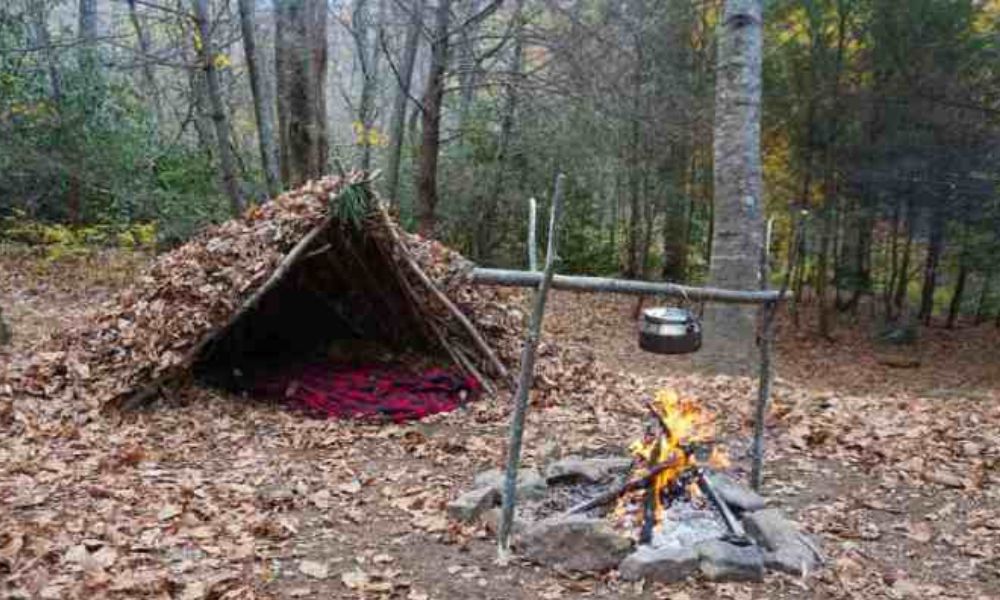 Install a shelter: 5 essential criteria for a safe and durable location