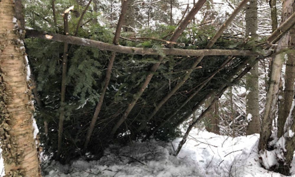 Surviving in the Wild: 5 Types of Shelters You Absolutely Need to Know