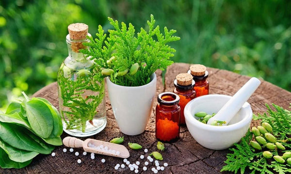 Organiser une trousse de médecine naturelle : 5 indispensables à emporter