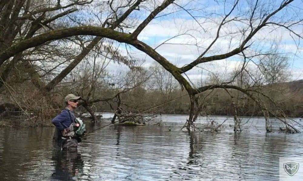 Pêche de Survie : 5 Techniques Faciles à Connaître en Milieu Sauvage