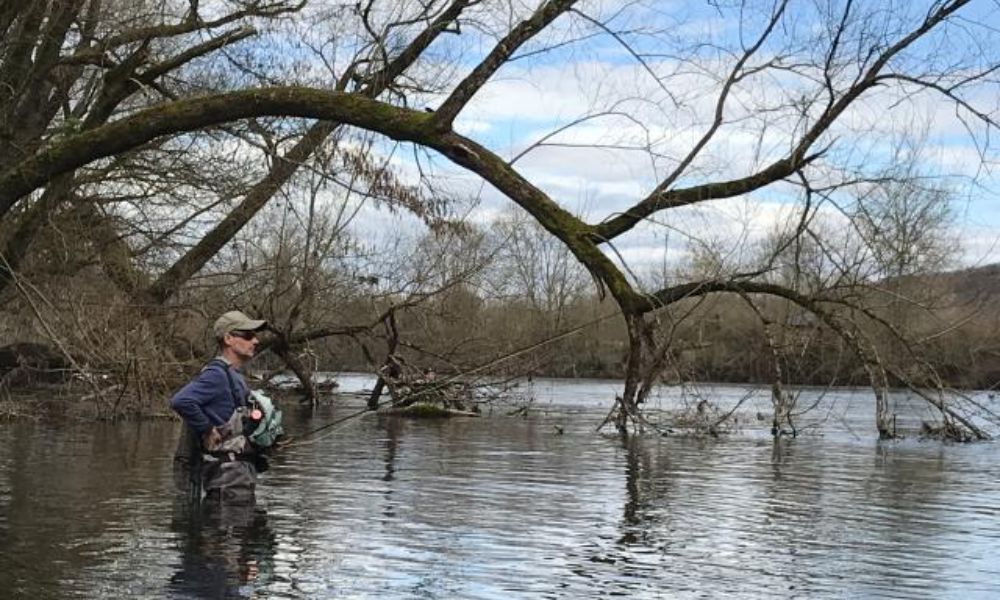 Pêche de Survie : 5 Techniques Faciles à Connaître en Milieu Sauvage