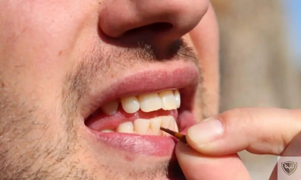 Prendre Soin de Ses Dents en Situation de Survie : Méthodes Simples et Efficaces