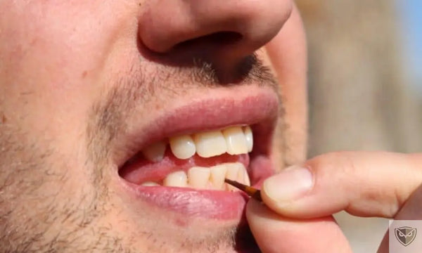 Prendre Soin de Ses Dents en Situation de Survie : Méthodes Simples et Efficaces