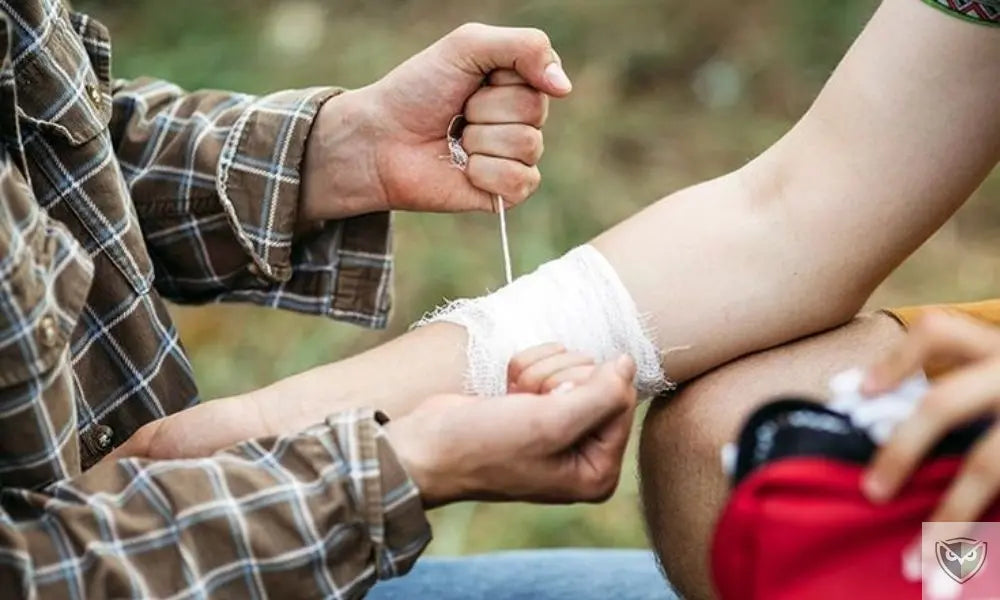 Réagir vite : les gestes qui sauvent après une morsure ou une piqûre