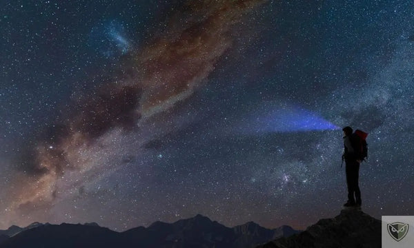 S’orienter avec les étoiles : 2 constellations pour retrouver le nord ou le sud