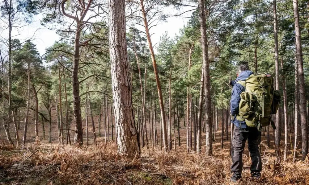 Navigating without tools: 3 natural techniques to find your direction