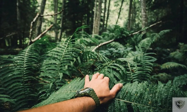 Se Préparer Psychologiquement à la Survie : Maîtriser ses Réactions en Milieu Sauvage