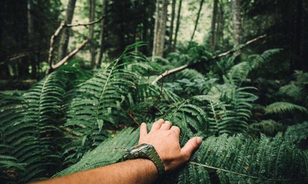 Preparing Psychologically for Survival: Mastering Your Reactions in the Wild