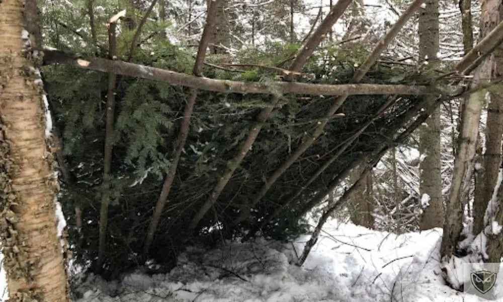 Surviving in the Wild: 5 Types of Shelters You Absolutely Need to Know