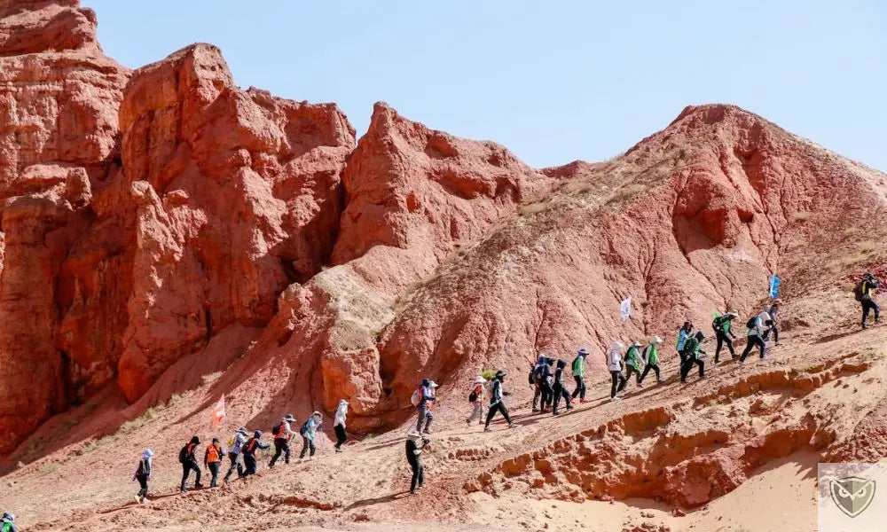 Desert terrain: 4 essential rules for surviving in an arid environment