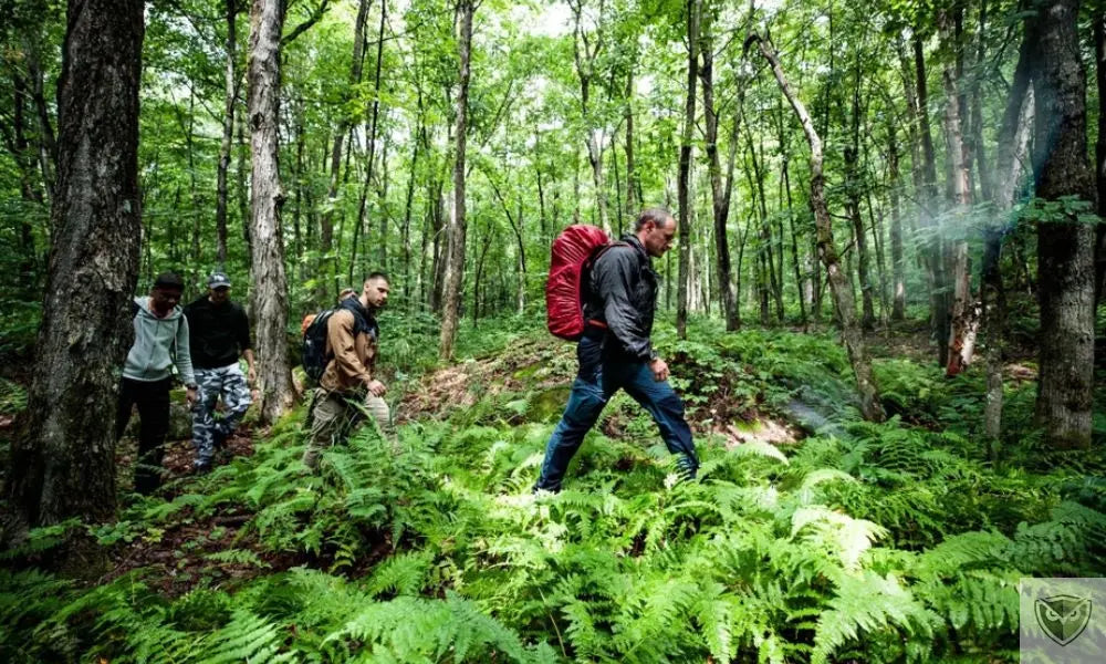Dense vegetation: 3 techniques to safely overcome natural obstacles