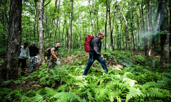 Végétation dense : 3 techniques pour franchir les obstacles naturels en sécurité