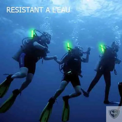 BIVOUAK™ Bâton Cyalume Lumineux - Boîte de 10 survieprotek