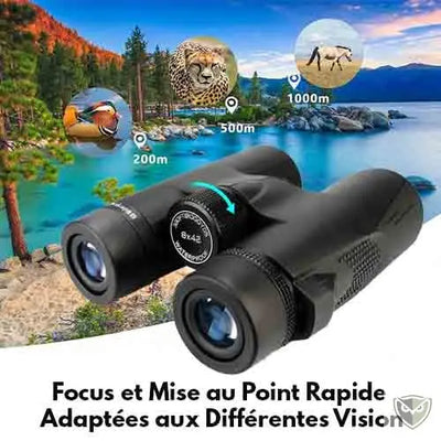 Jumelles Compactes 8x21 - Mini Jumelles Pliables Pour Voyage, Observation Oiseaux, Concerts - Prismes BAK4, Revêtement Vert FMC - 1