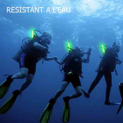 BIVOUAK™ Bâton Cyalume Lumineux - Boîte de 10 survieprotek